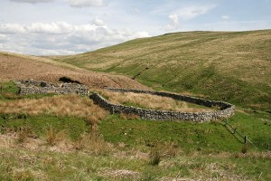 Ruins of Puddingburn Tower